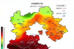 开云平台网站登录入口网址查询